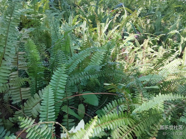 【春天與健康約個(gè)會(huì)】昨日健走