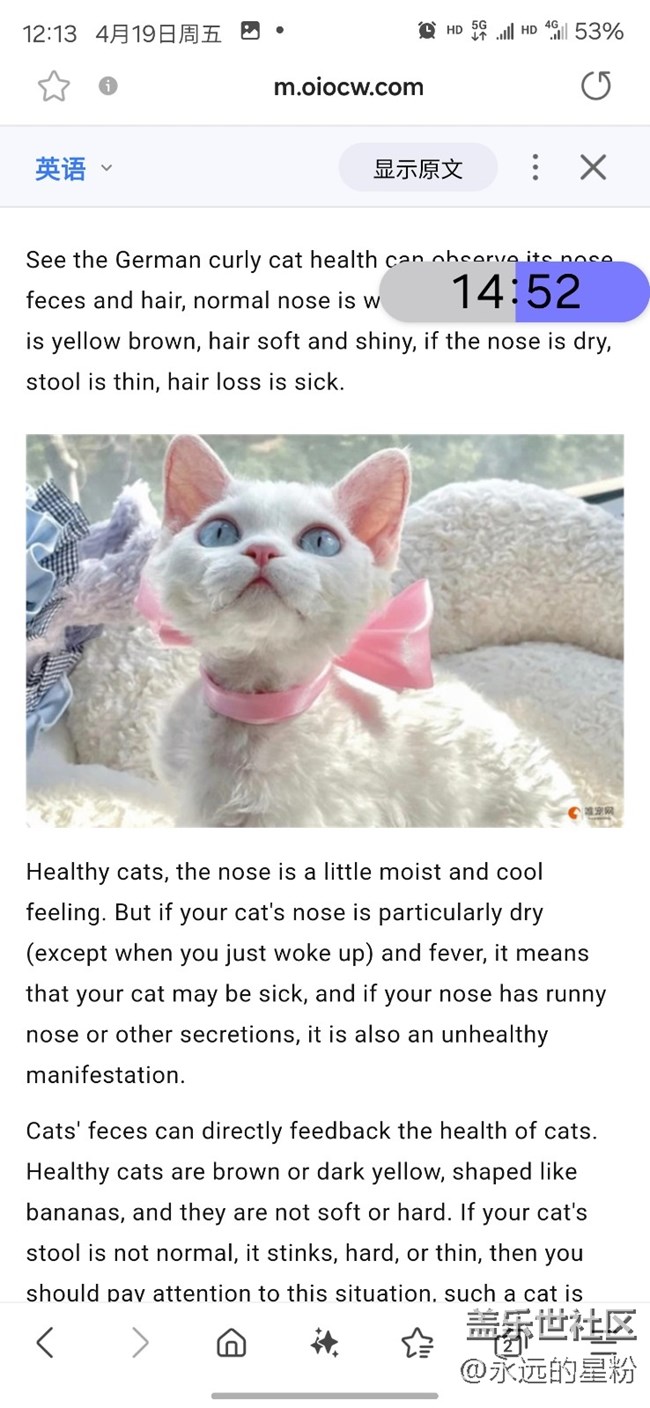 【GalaxyAI深度體驗(yàn)】帶領(lǐng)粉絲細(xì)細(xì)體會(huì)AI的強(qiáng)大