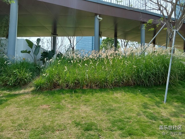 【春天與健康約個(gè)會(huì)】昨日健走