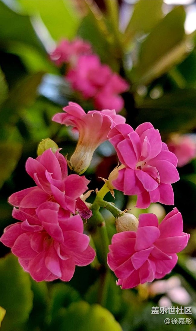 【沈陽藝術攝影】藝術攝影活動回顧