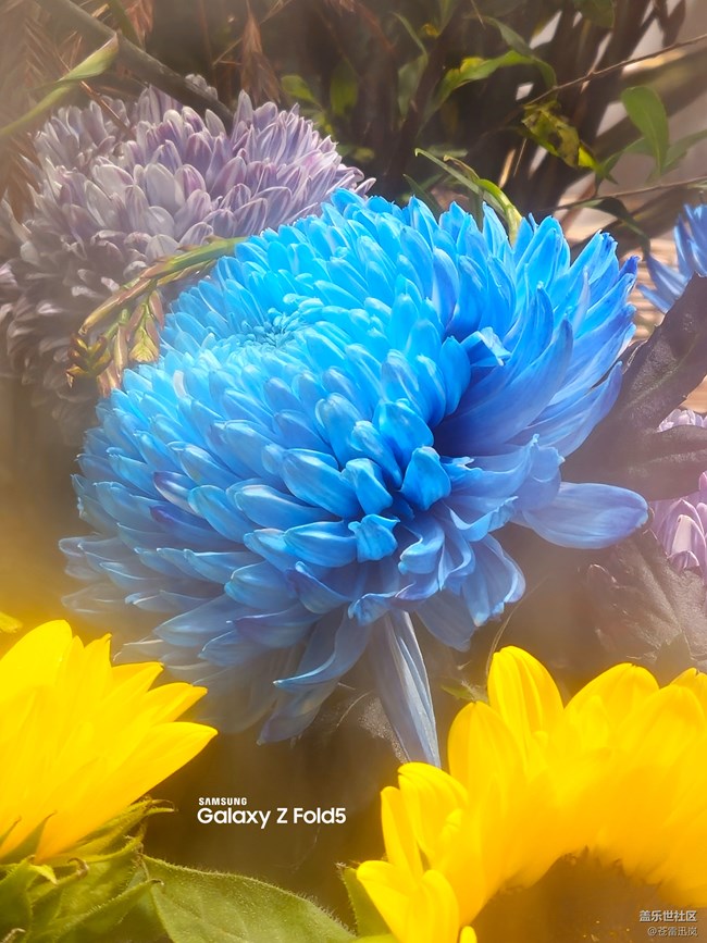 【我的Galaxy AI手機(jī)】折疊五代，愛(ài)了；Galaxy AI？期待！