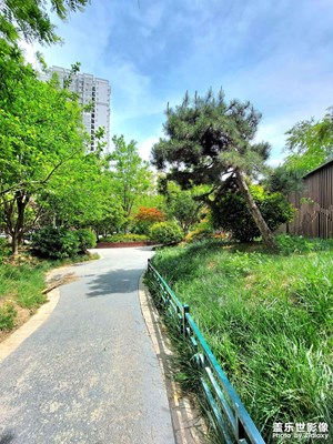 天氣不錯(cuò)呀