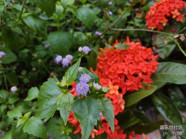 【尋找春天的味道】一場春雨過后