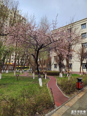 【生活的寫意】+ 美好的春天