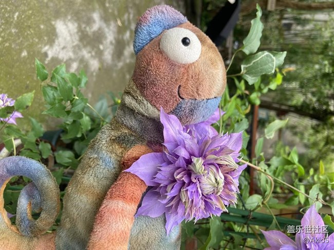 【春天就是運動的時候】征名