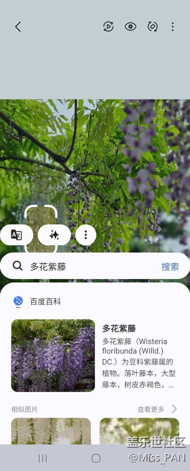 【AI體驗(yàn)】+圈一圈