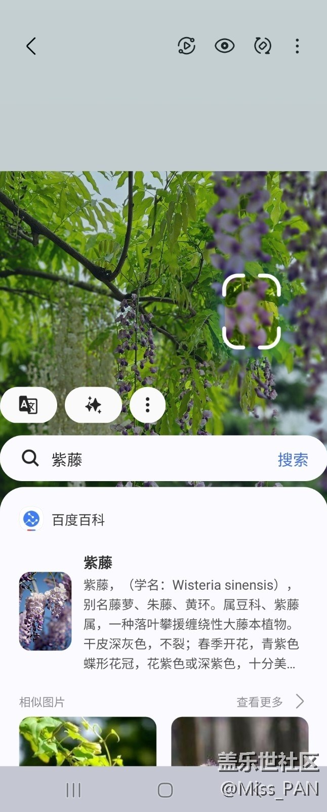 【AI體驗(yàn)】+圈一圈