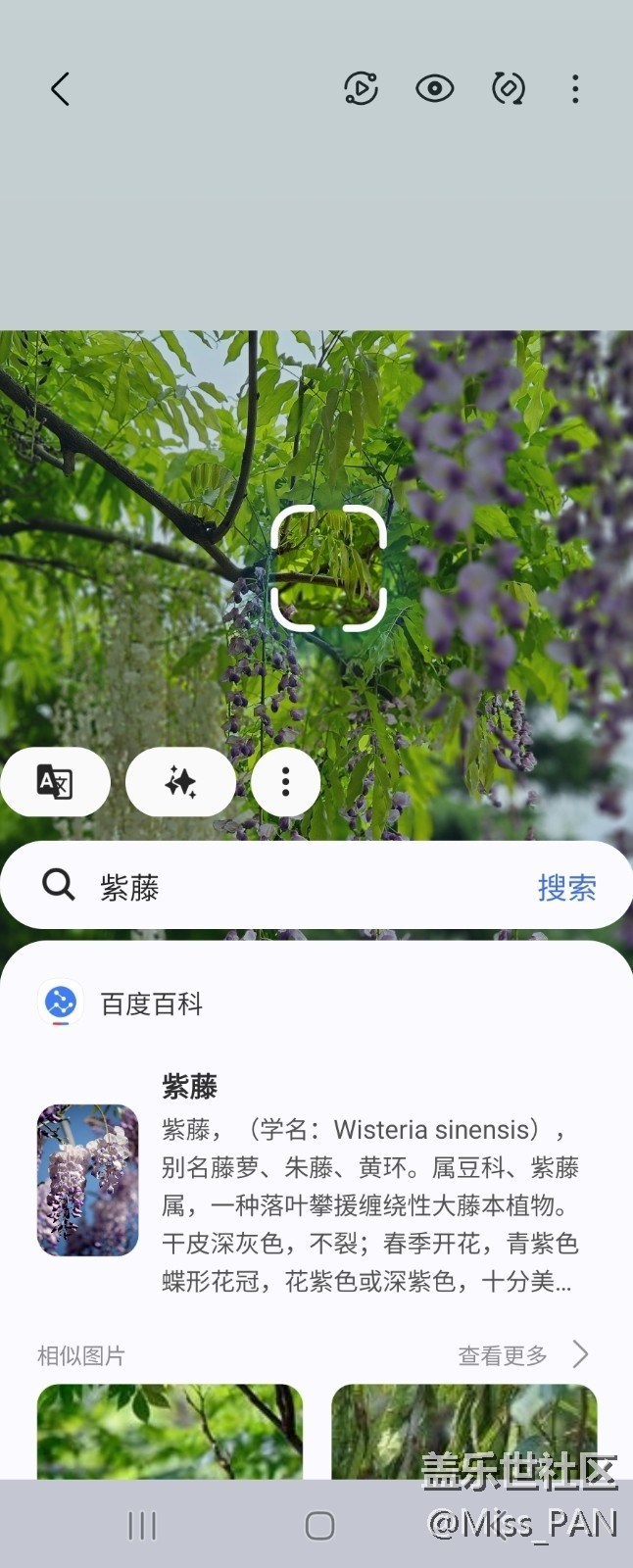 【AI體驗(yàn)】+圈一圈