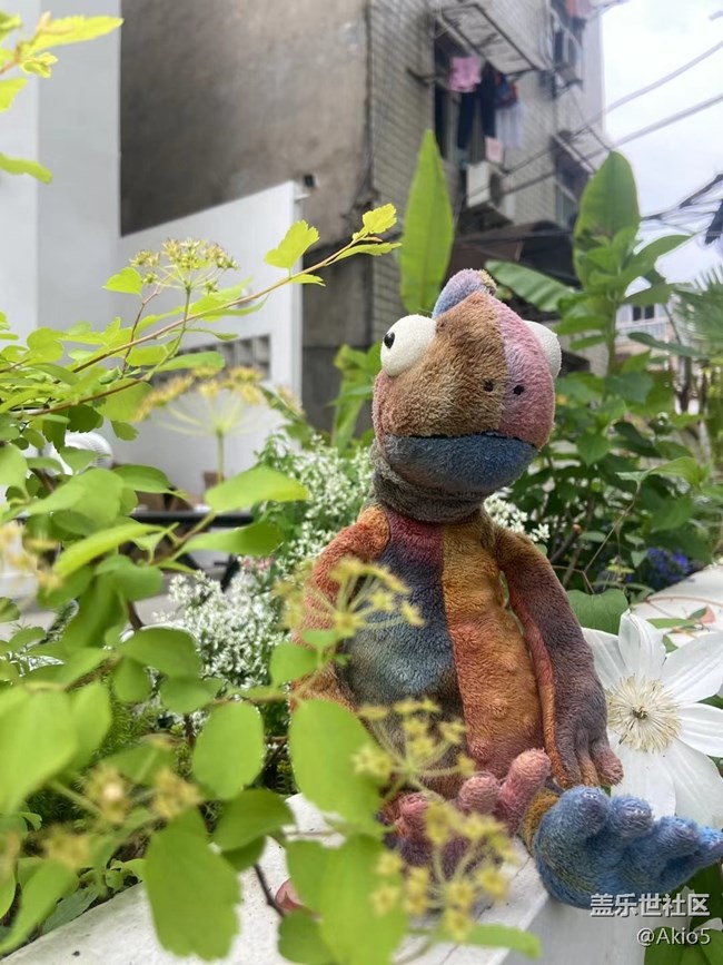 【春天就是運動的時候】征名