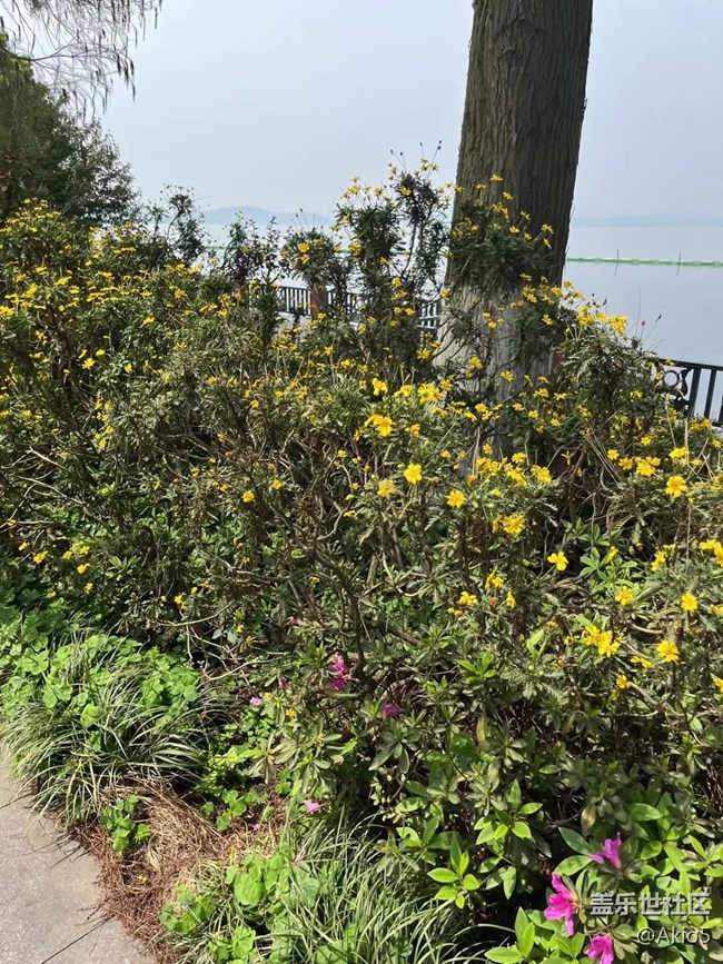 【春天就是運(yùn)動的時候】東湖