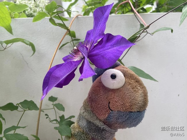 【春天就是運動的時候】征名