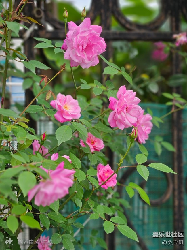 【AI體驗(yàn)】+改照片可以很簡單