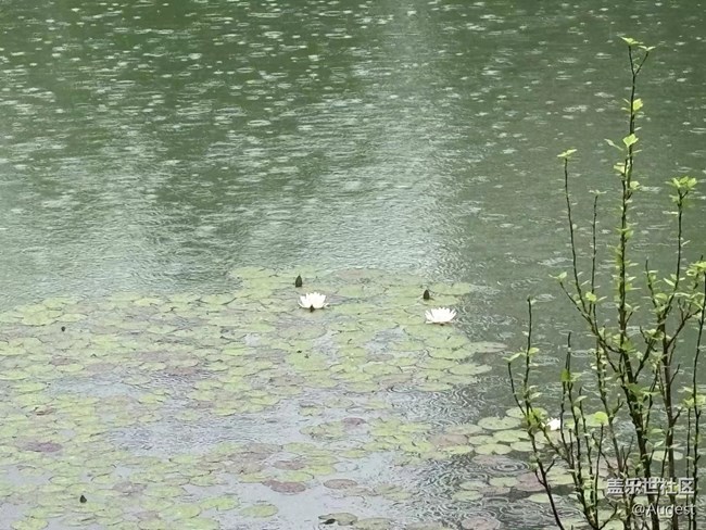 【春天就是運(yùn)動的時候】多出去走走