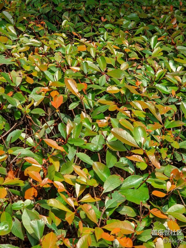 【春天就是運(yùn)動的時(shí)候】過早