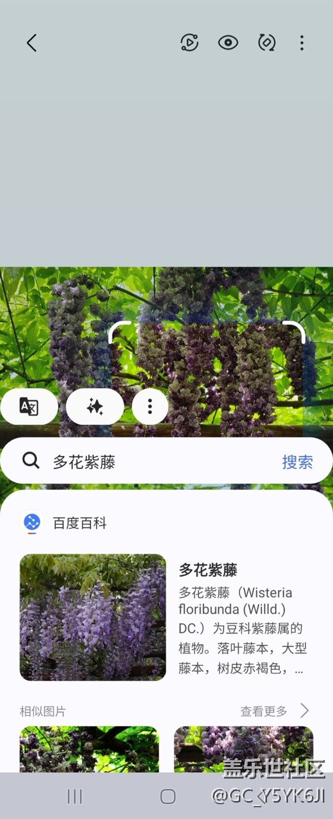 【AI體驗】+即圈即搜