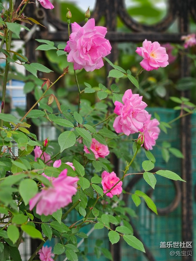 【AI體驗(yàn)】+改照片可以很簡單