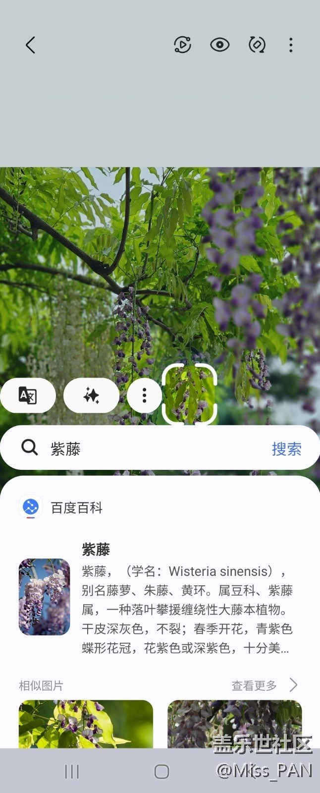 【AI體驗(yàn)】+圈一圈