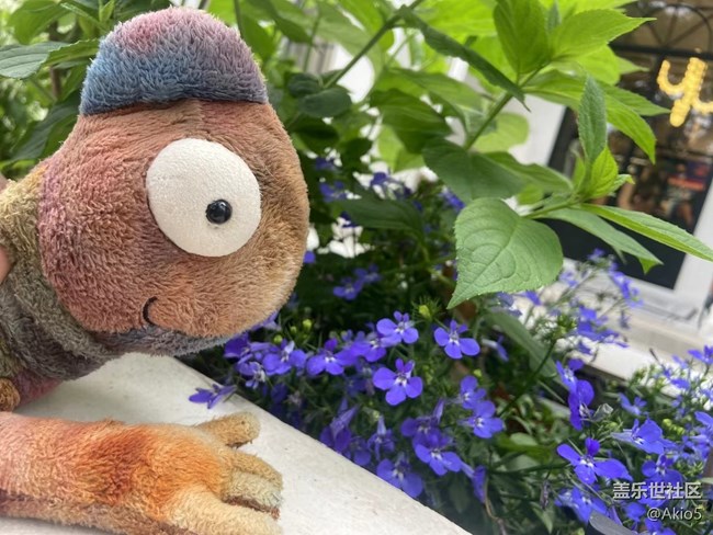 【春天就是運動的時候】征名