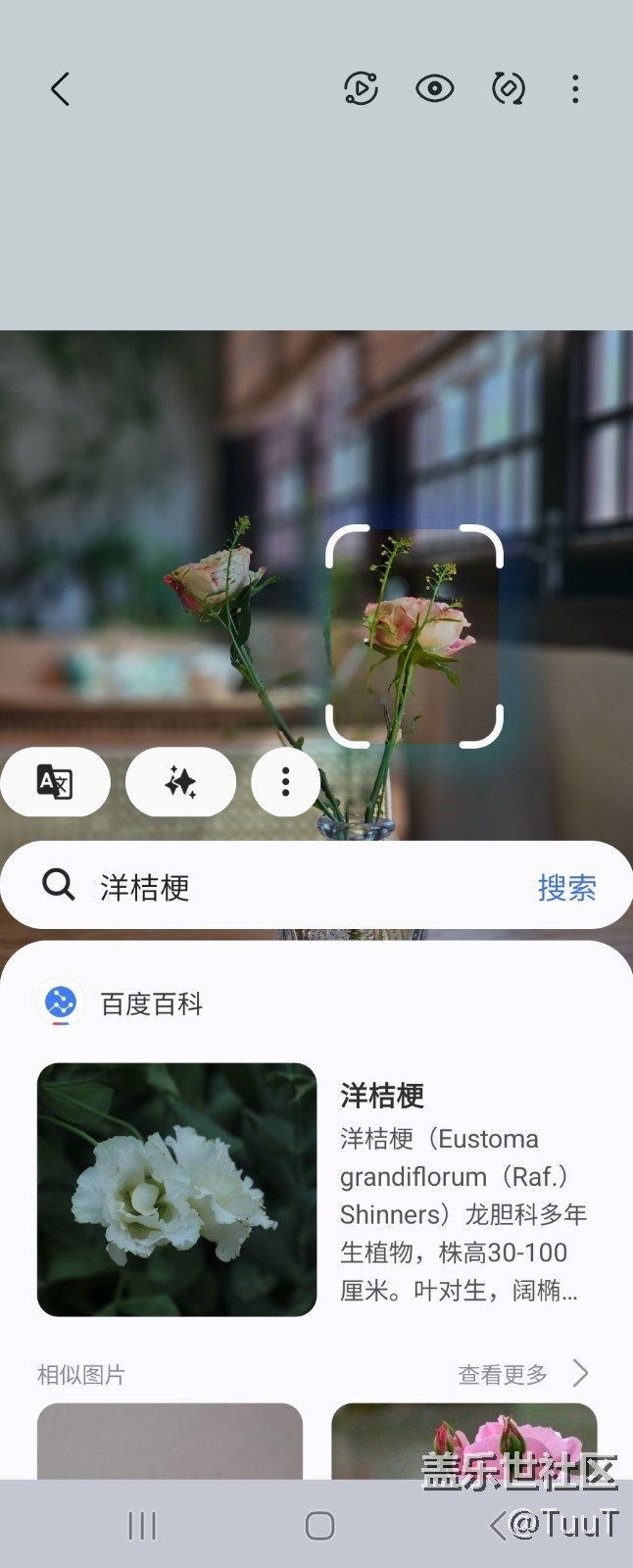 【AI體驗】+實用的三星AI手機