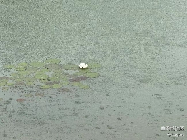 【春天就是運(yùn)動的時候】多出去走走