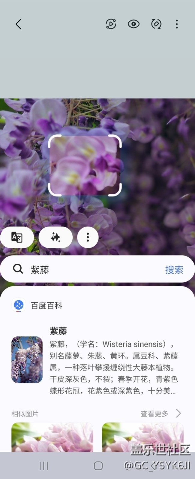 【AI體驗】+即圈即搜