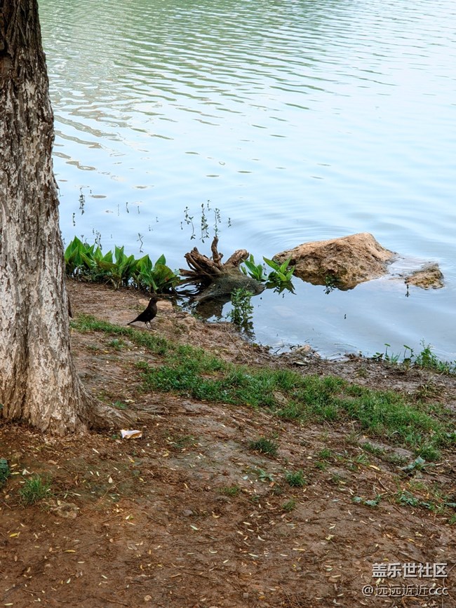 【春天就是運(yùn)動(dòng)的時(shí)候】4月18