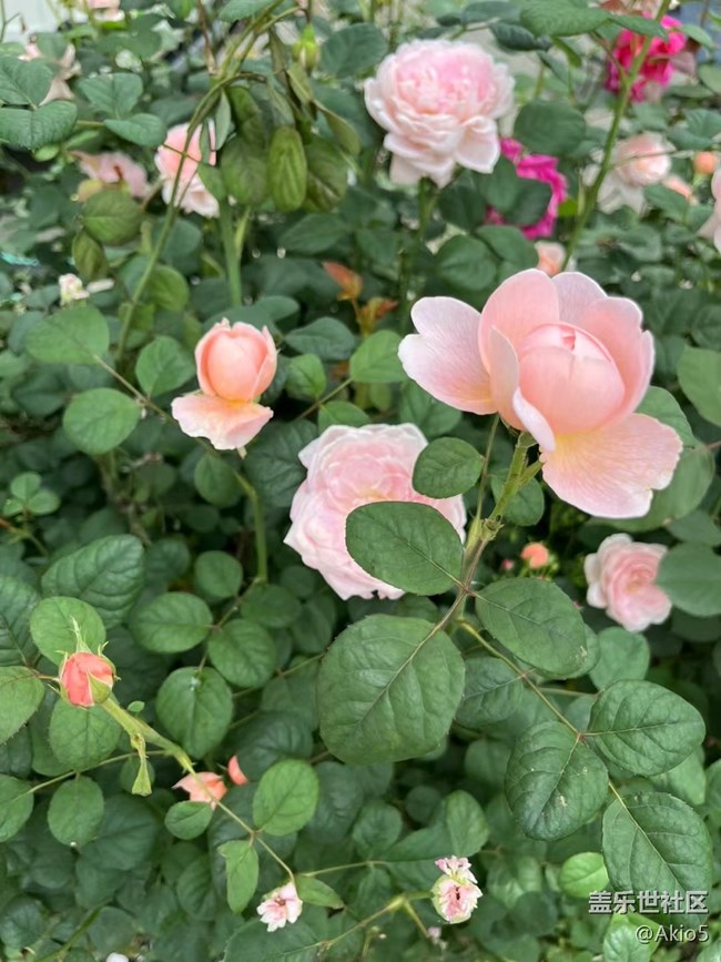 【春天就是運(yùn)動的時候】東湖