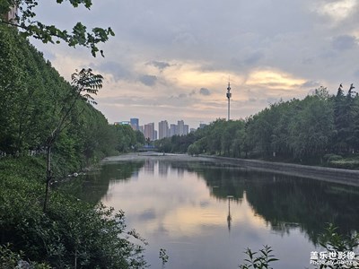 【生活的寫意】+ 令人著迷的春天