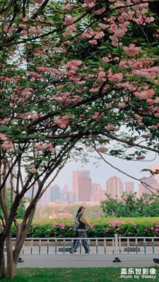 【生活的寫意】