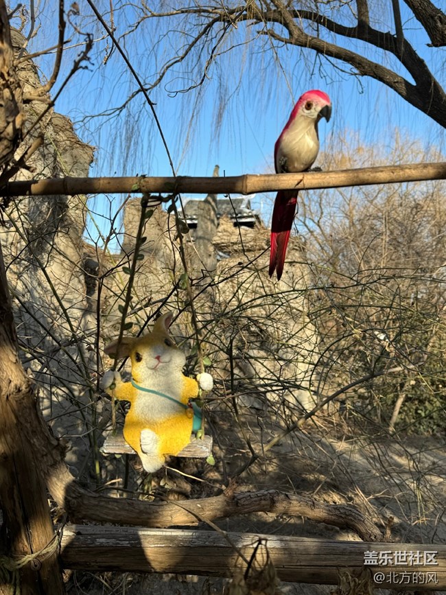 【世界與民族的碰撞】+中華民族園游覽記