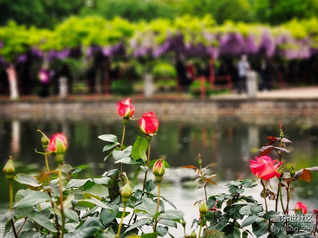 上海星部落4月20日AI體驗活動回顧帖