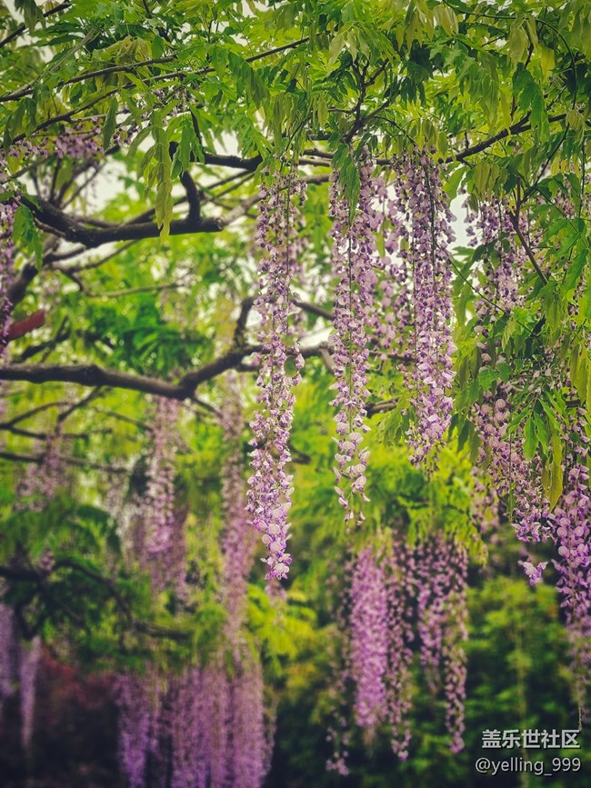 上海星部落4月20日AI體驗活動回顧帖