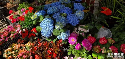 【生活的寫意】+美好生活