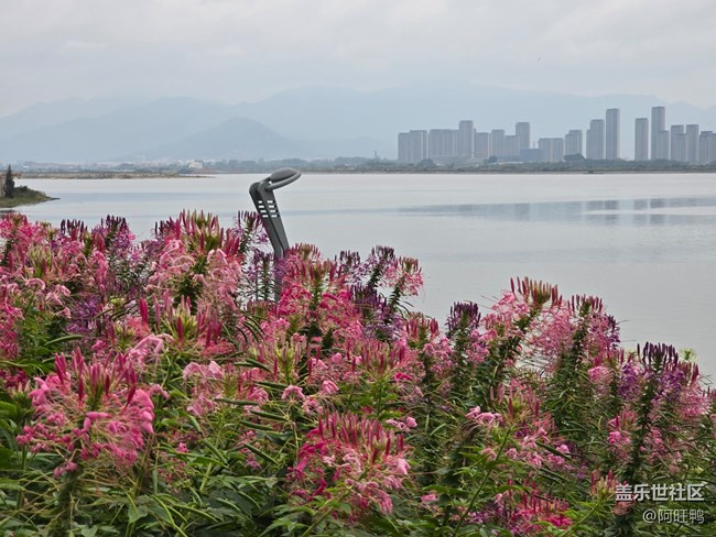 春雨后，萬物復(fù)蘇