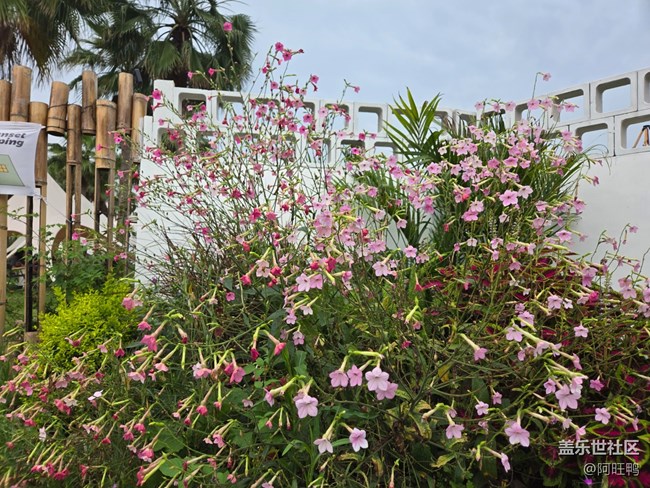 春雨后，萬物復(fù)蘇