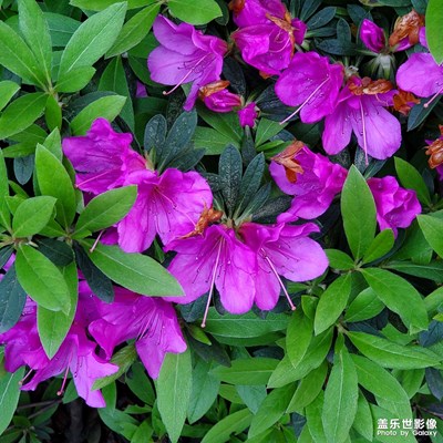 【生活的寫意】+景色宜人