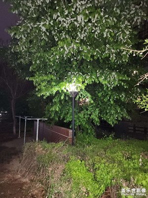 【三星手機(jī)的夜景】小區(qū)隨拍