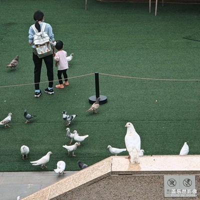 【最美人間四月天】見證