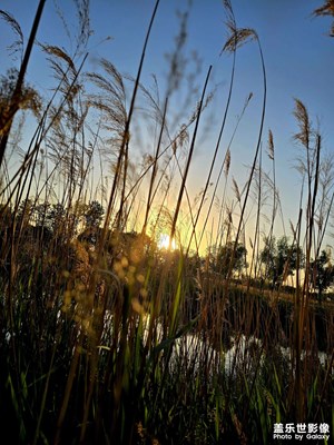 【生活的寫意】+ 霞光