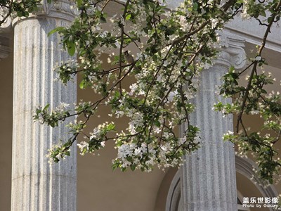 【最美人間四月天】城市漫游掠影