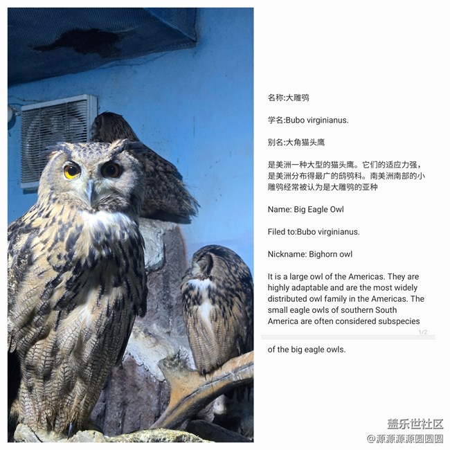 【活動(dòng)招募】武漢星部落4.27線下活動(dòng)