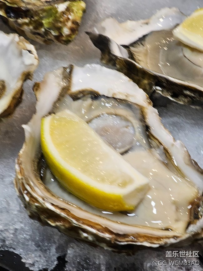 4月21號GalaxyAI線下攝影