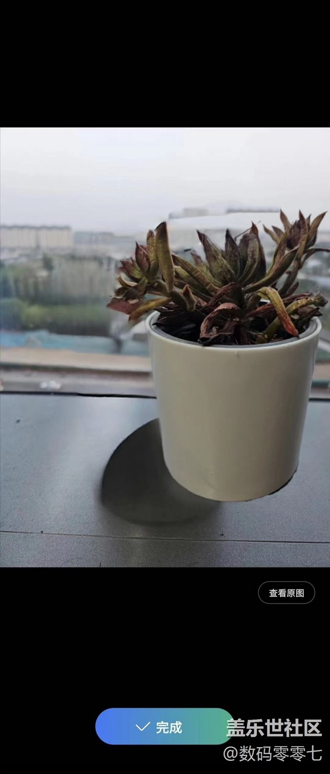 三星手機最新系統(tǒng)版本的圖片助手功，確實體現(xiàn)出Ai的強大