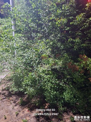 【三星手機(jī)夜景拍攝】-寂靜的夜