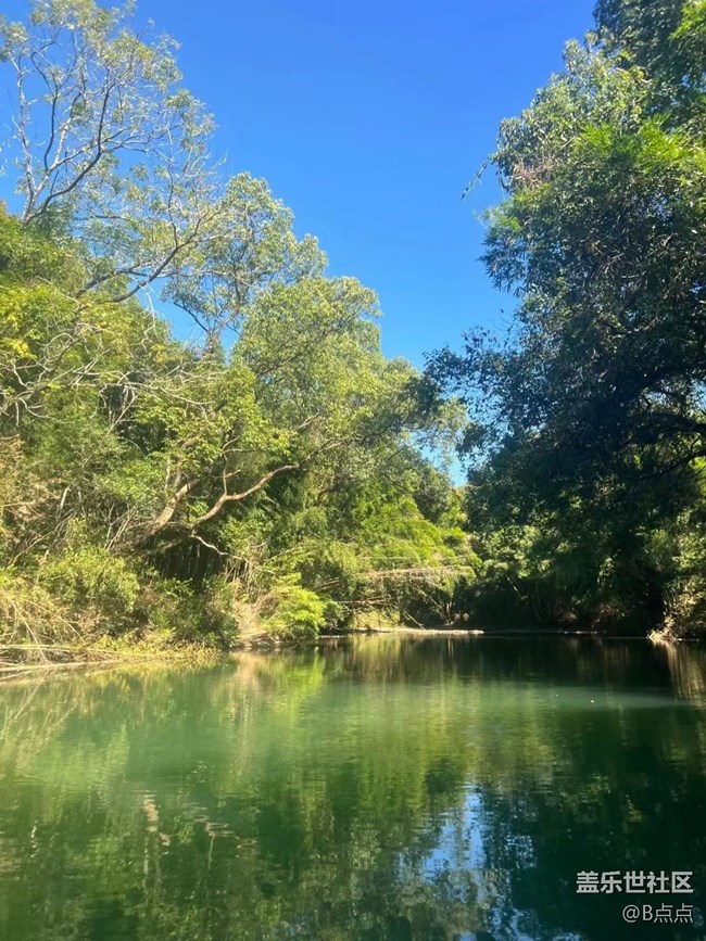 【我的旅行日記】游玩武夷山