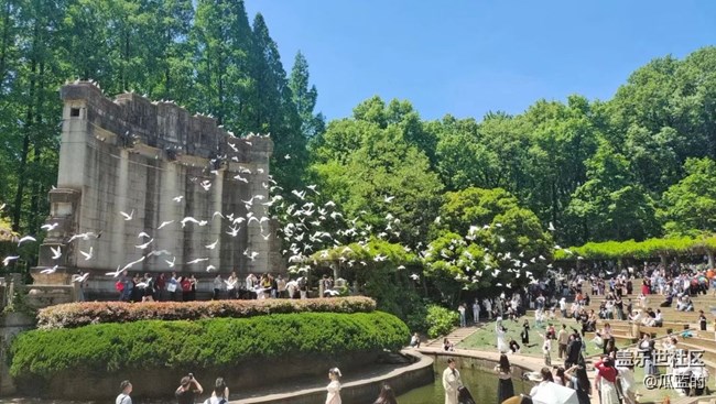【我的旅行日記】南京美