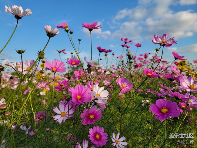 已開獎【Note版五月第一周】三星手機(jī)助力的假期 已開獎【Note版五月第一周】三星手機(jī)助力的假期