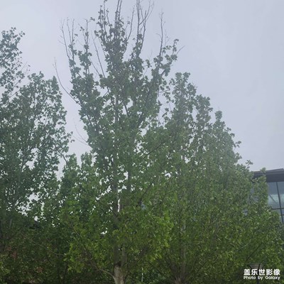 最美人間四月天 舒服的季節(jié)