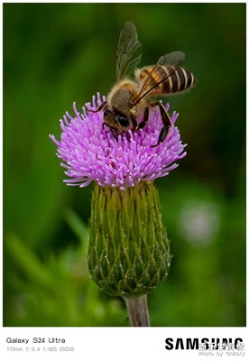 【最美人間四月天】+無名小花