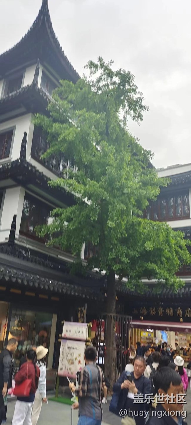 【豫園花朝節(jié)攝影活動】+春暖花開，豫園花朝節(jié)開啟了